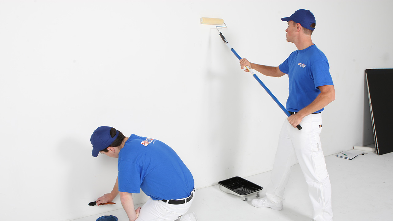 Bahçe Boya Badanacı